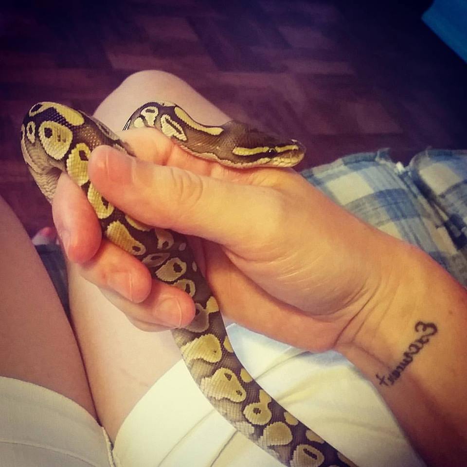 Odin