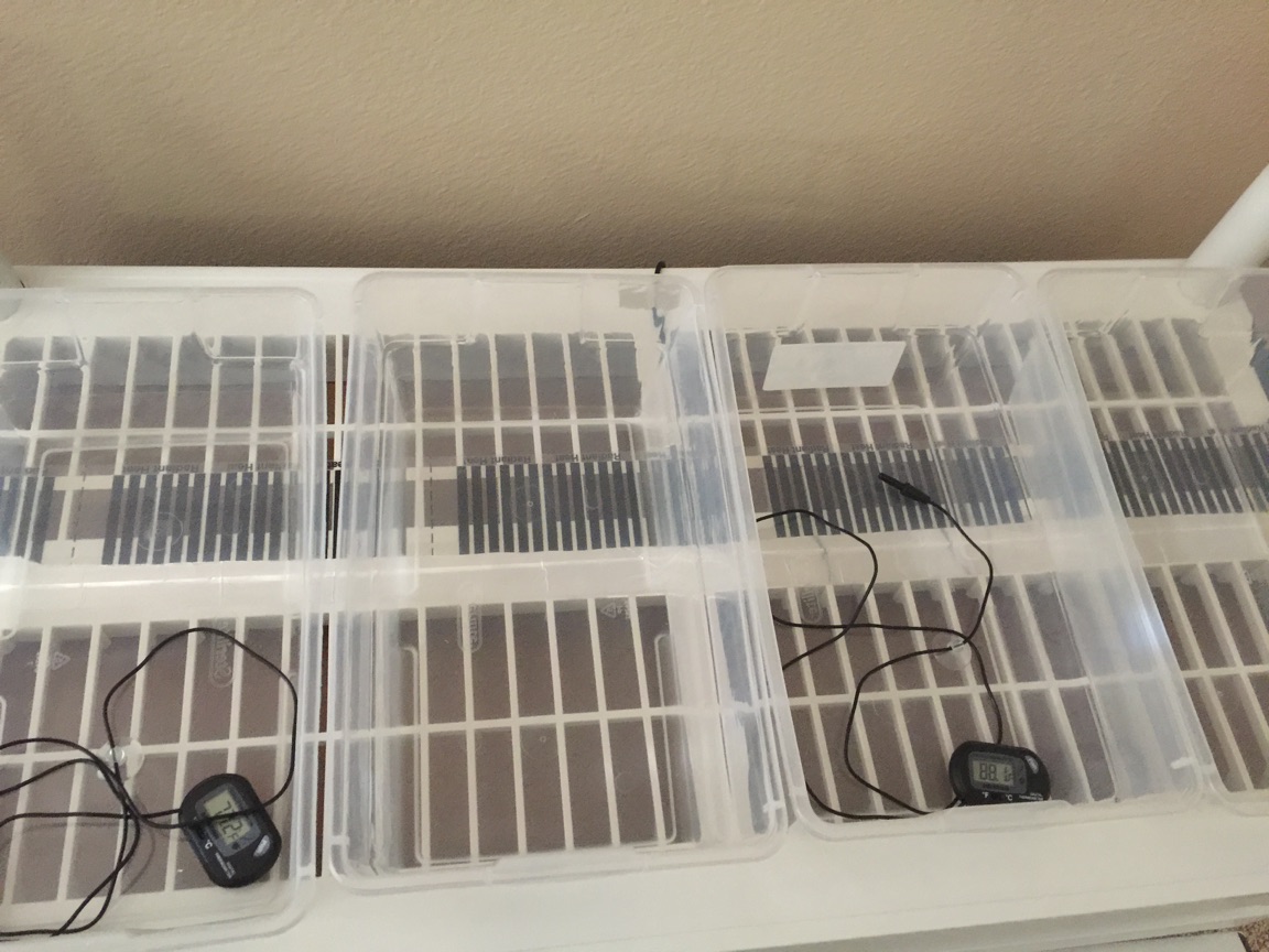 Rack4