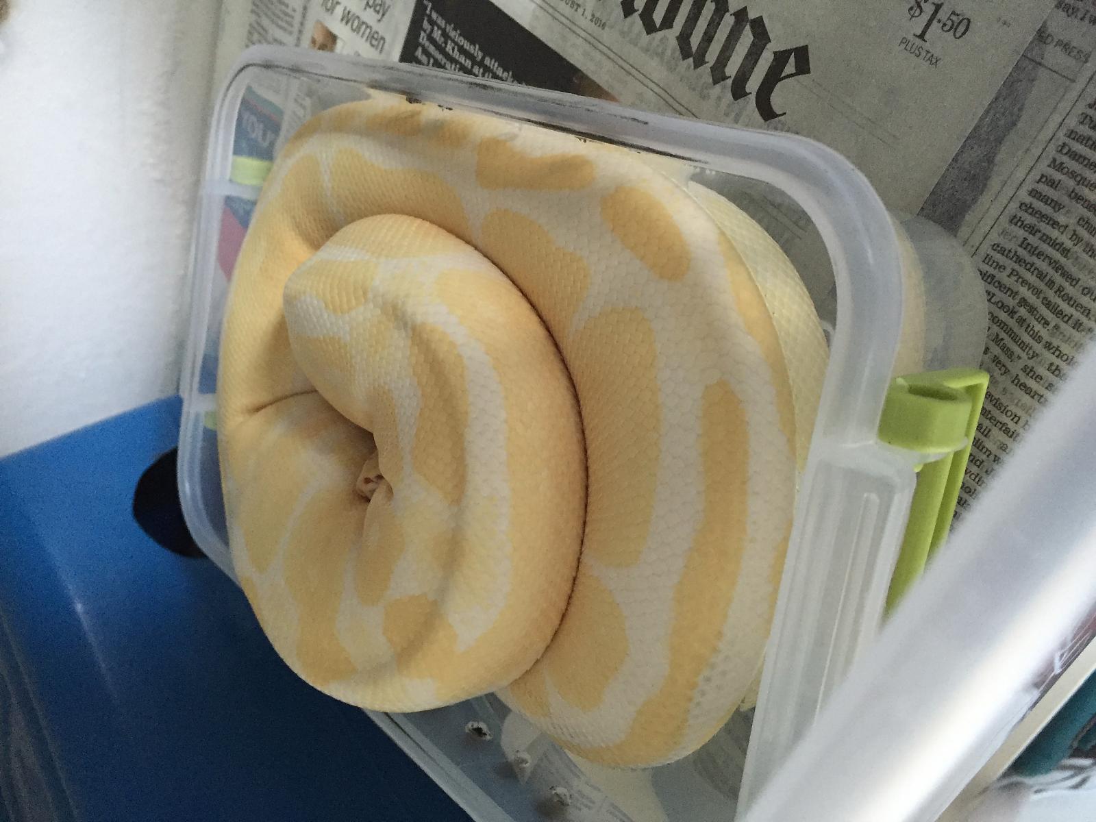 Soaking Problem
