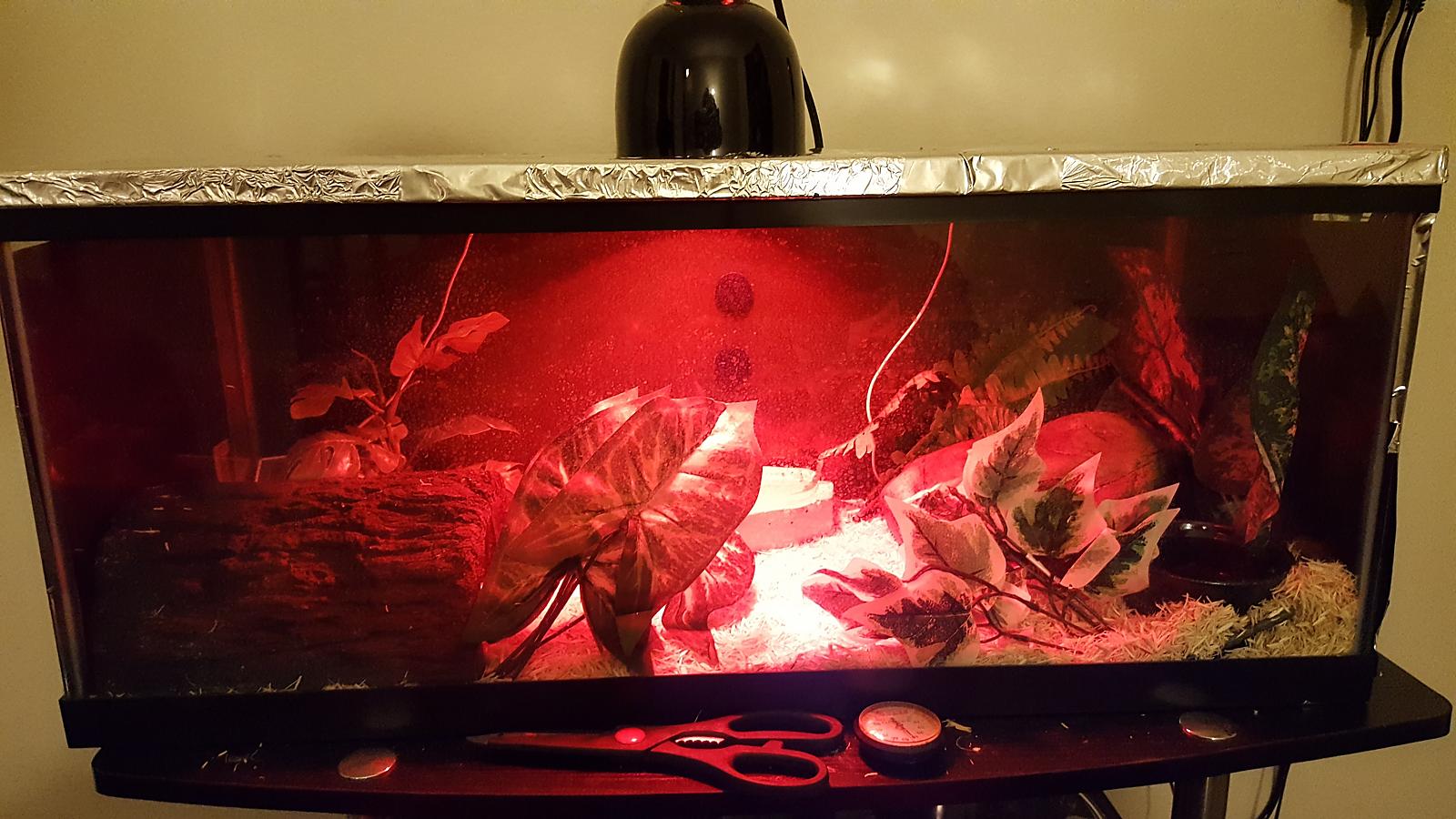 Upgraded rooples tank a bit