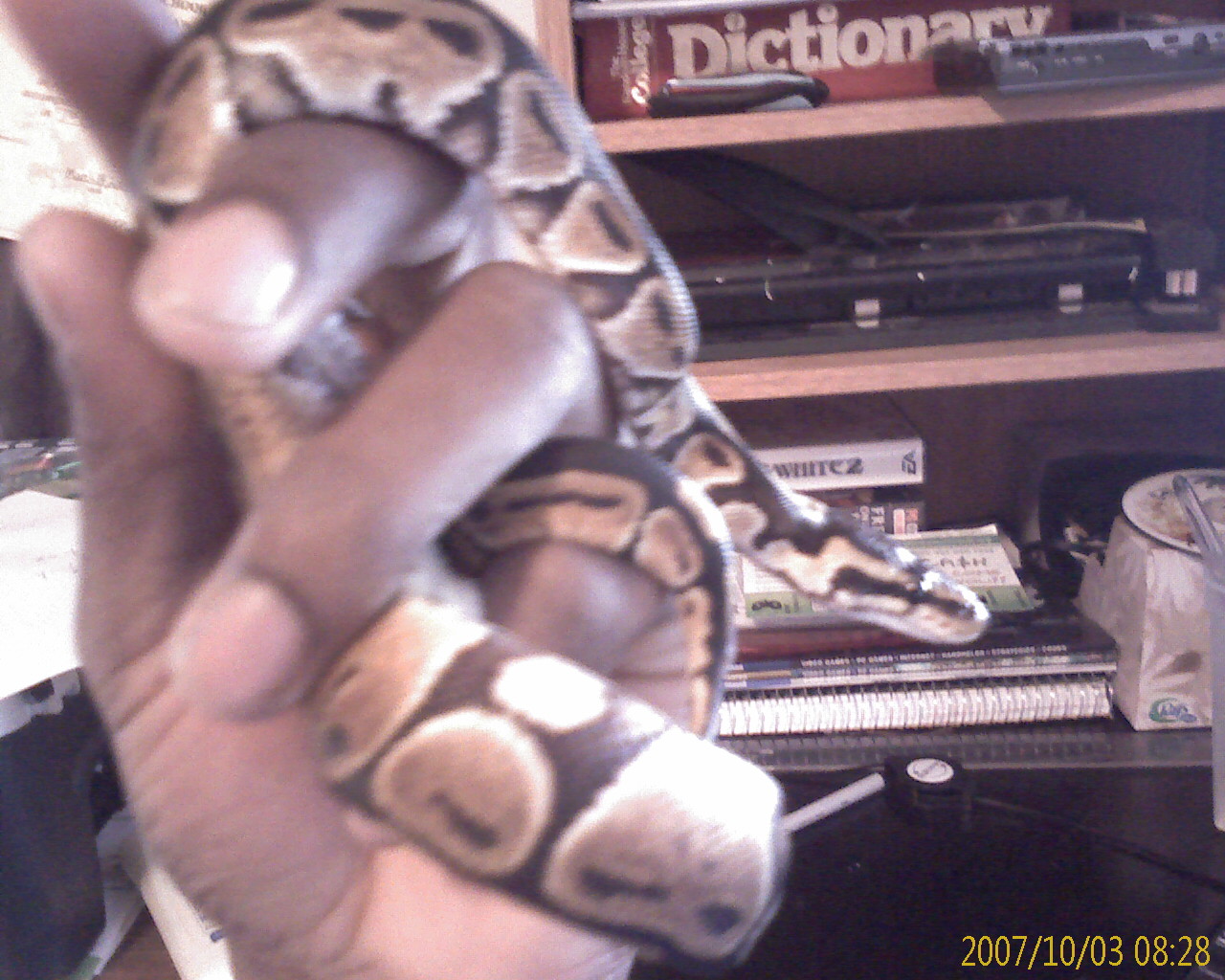 kaa55661525