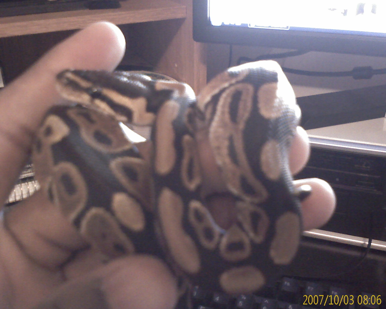 kaa567846
