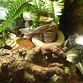 img 20161004 202313