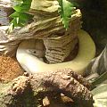 img 20161004 202325