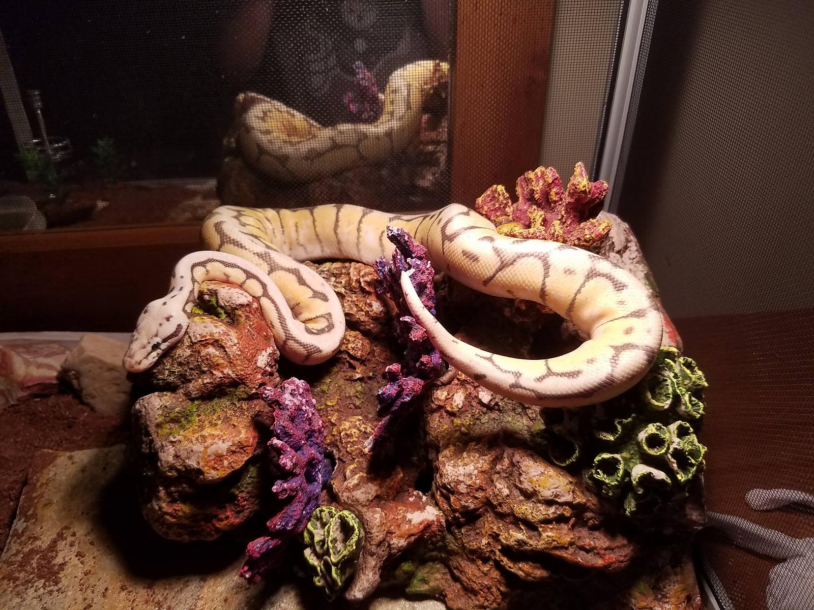 on display
