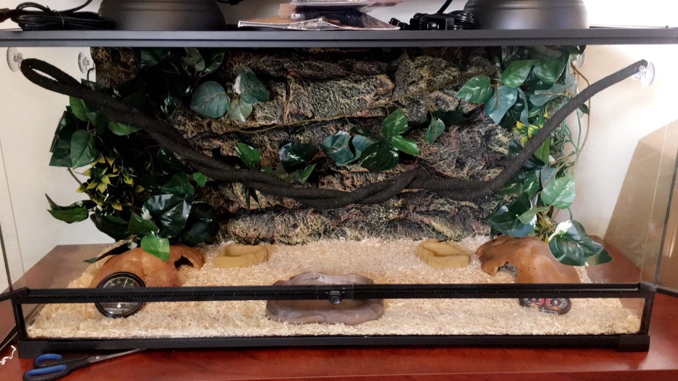 40 Gallon Enclosure