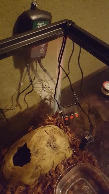 Help with Setup
