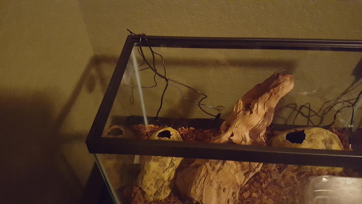 Help with Setup