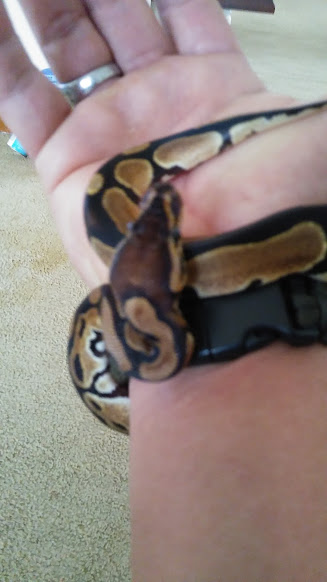 Lilith