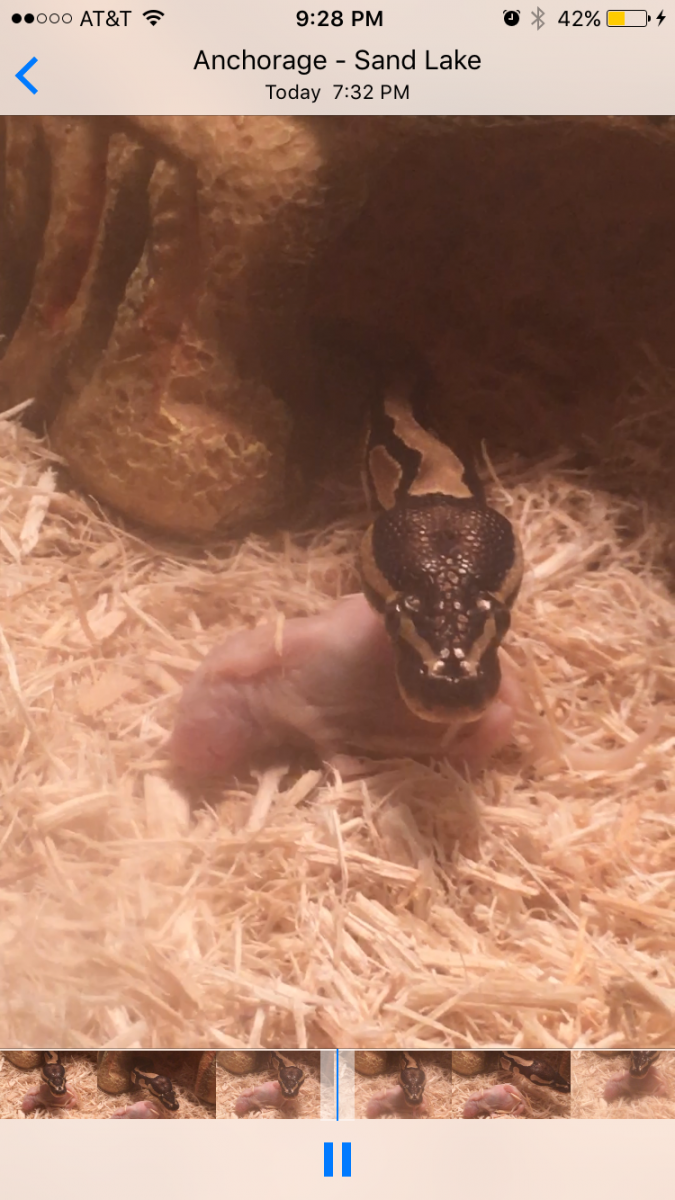 Hi Naga!
