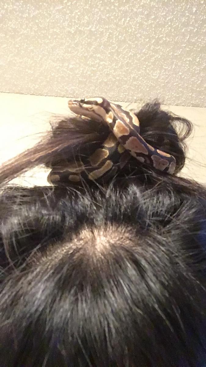 New Hairtie
