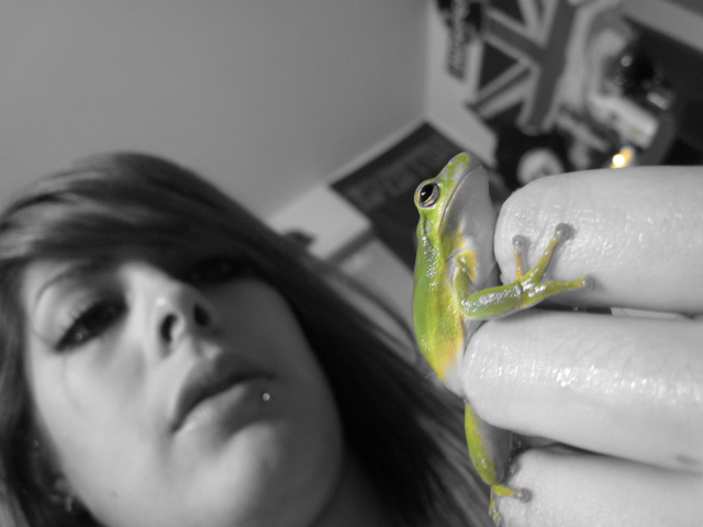 Tortuga and i