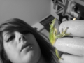 Tortuga and i