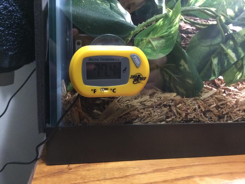 Rupert's Cold End Temp.