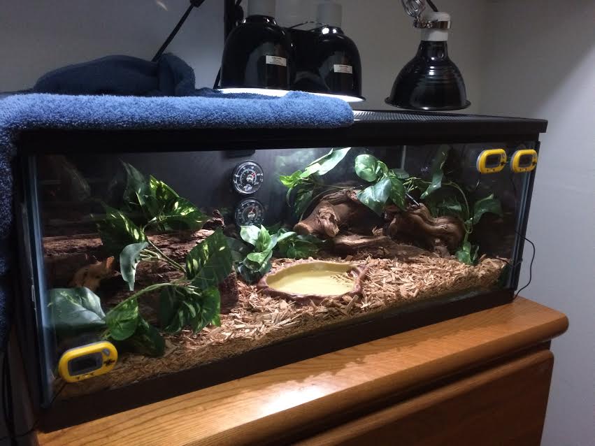 Rupert's Enclosure