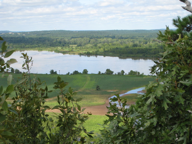 Img 0138