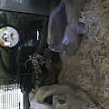 img 1802