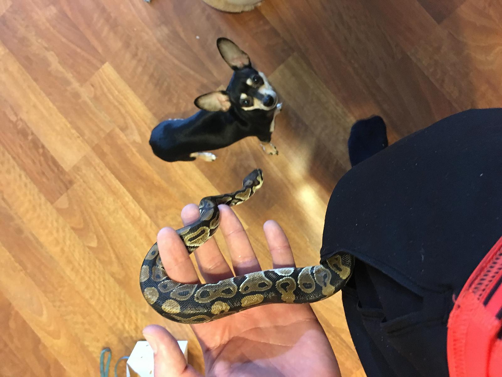 Friendly guy!