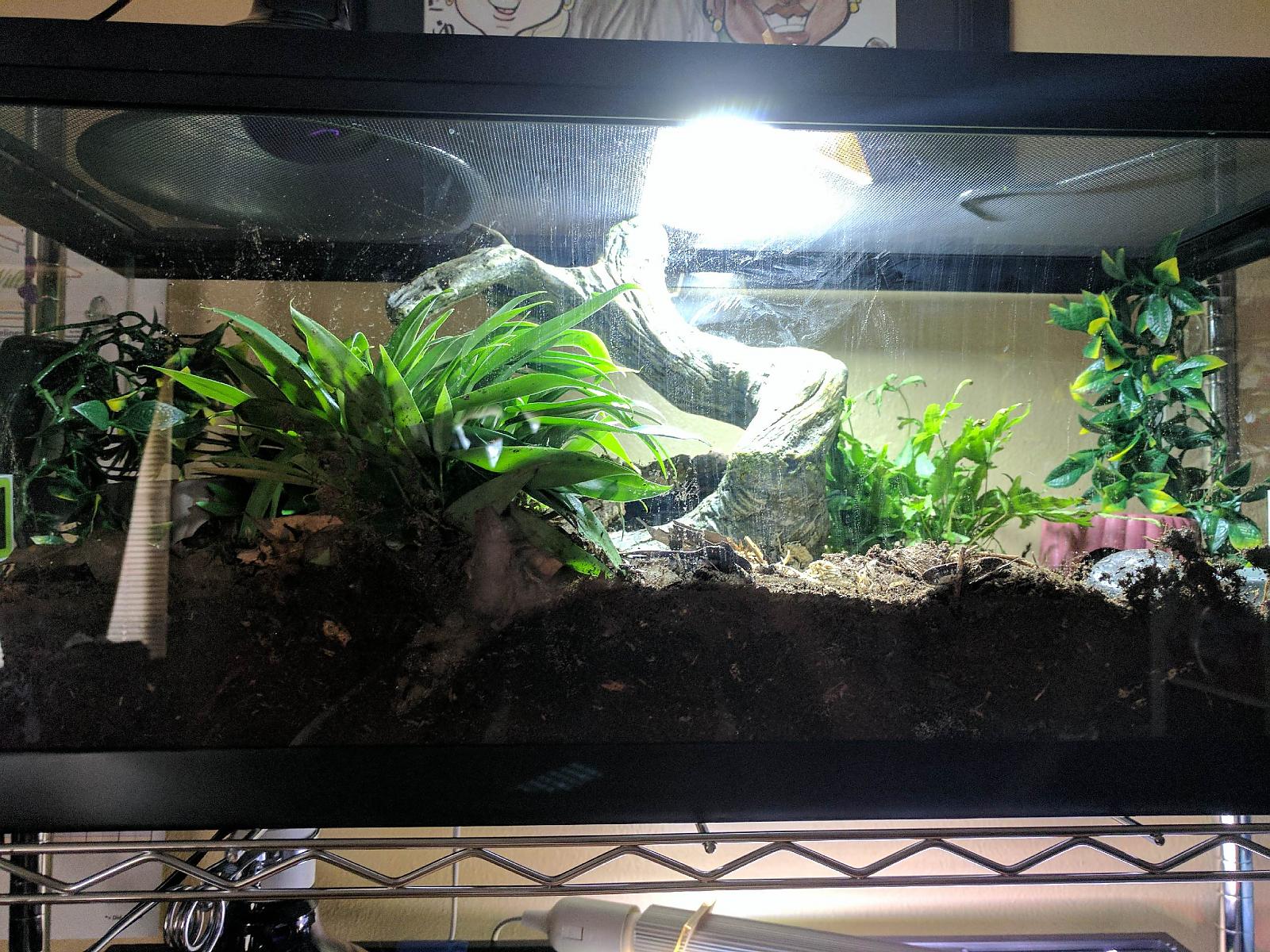 Mac's Tank