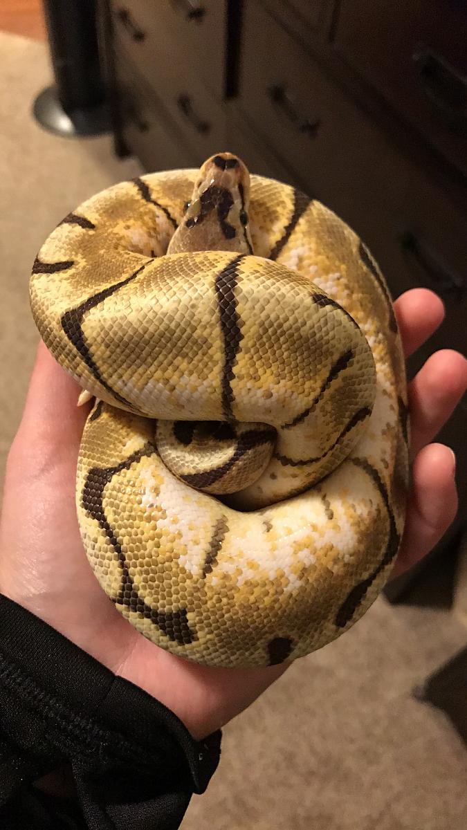 My new baby!