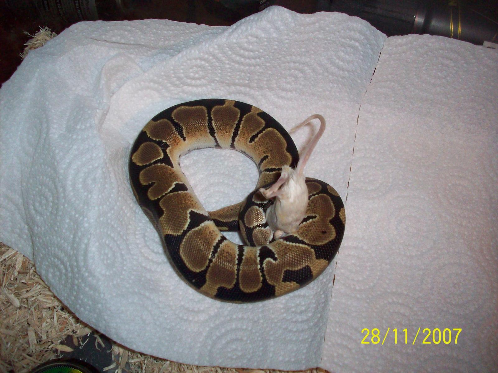 shadow constricting