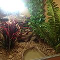 Terrarium