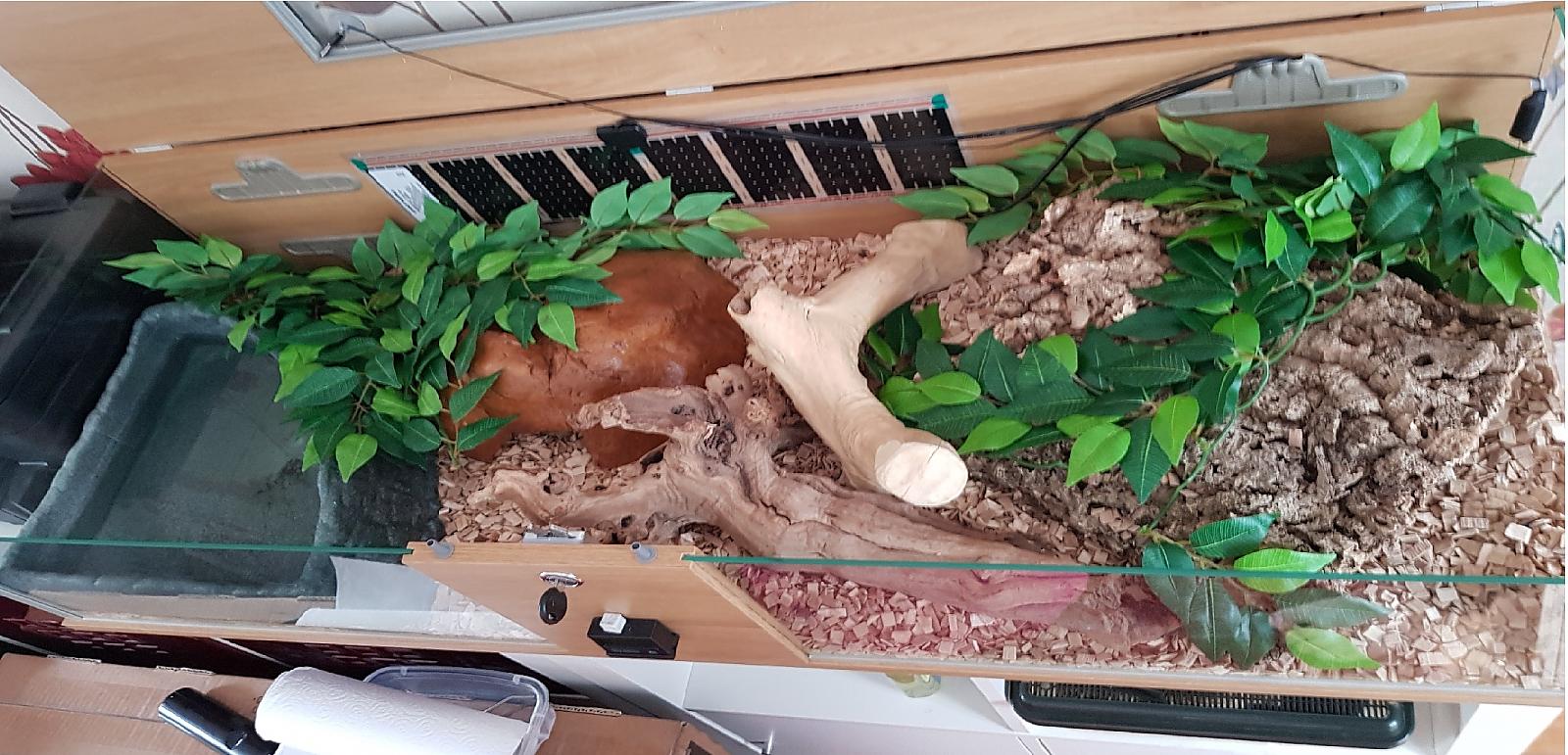 Pans Viv