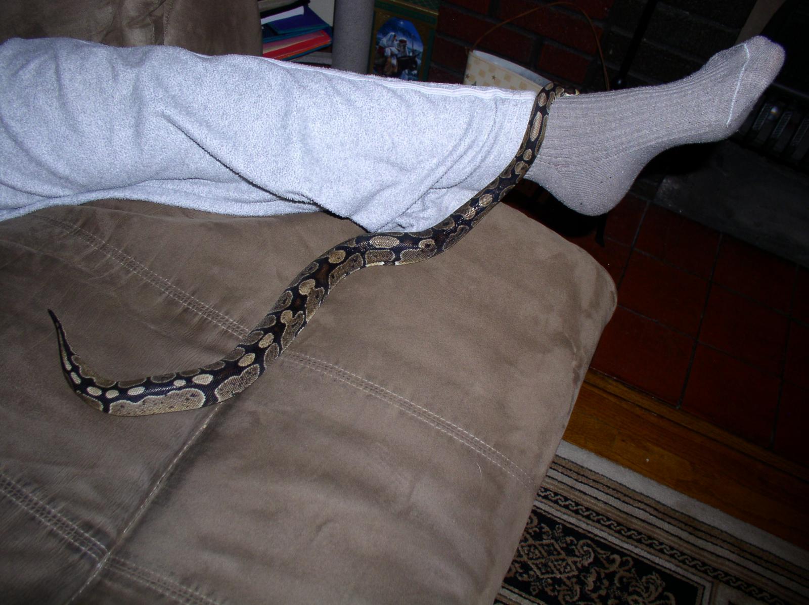 cameraandsnake187