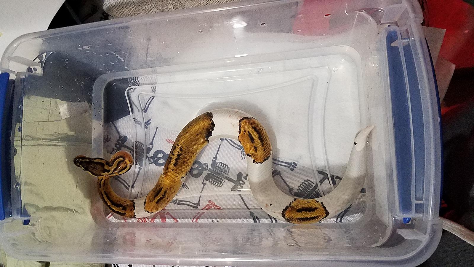 What is this?