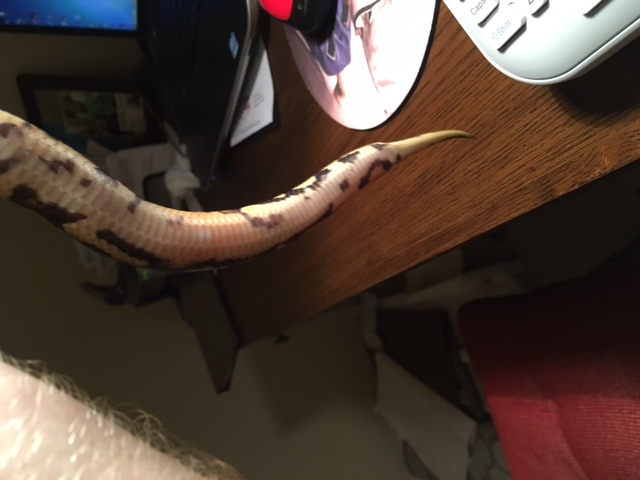 Post shed