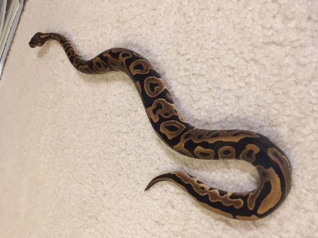 Post shed