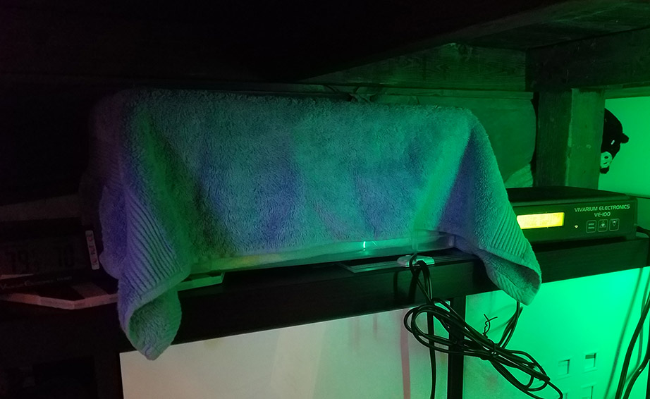 Tub set up