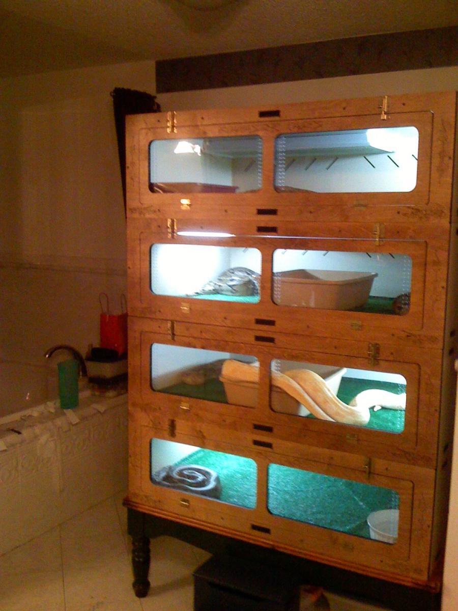 My Breeding Setup.