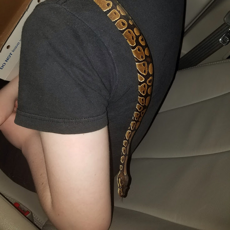 Sam