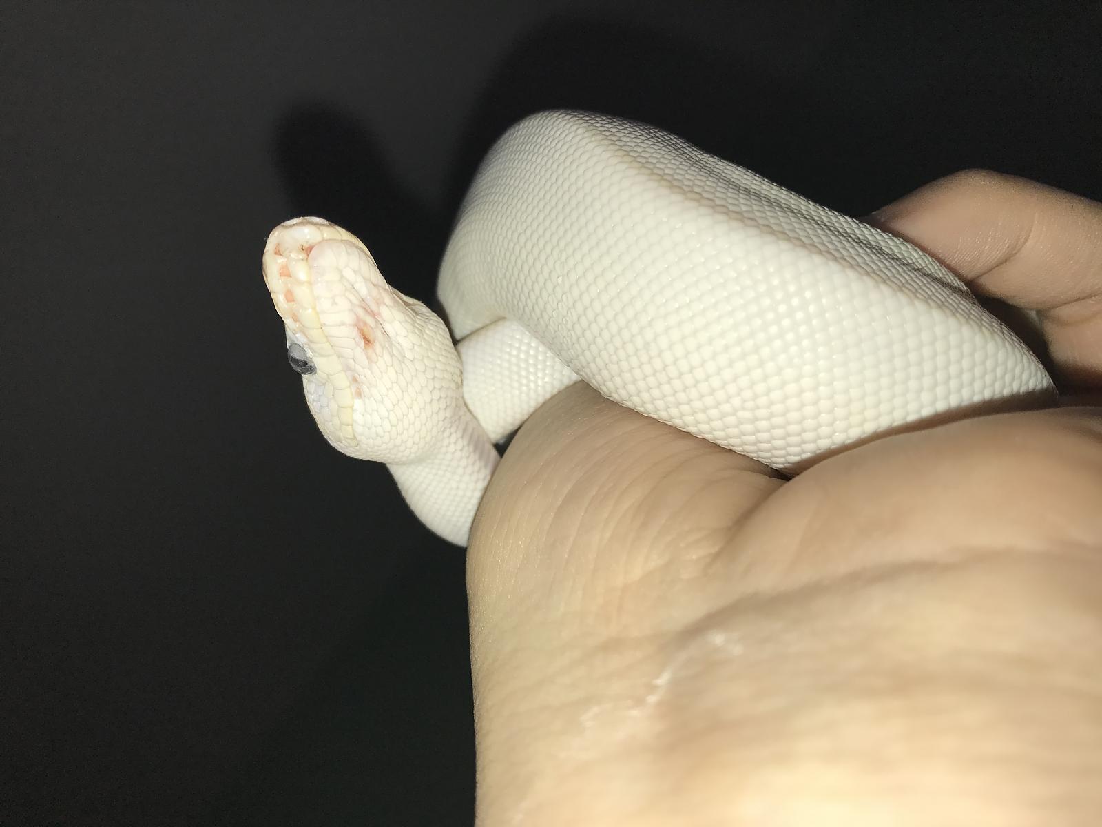 Strange mark