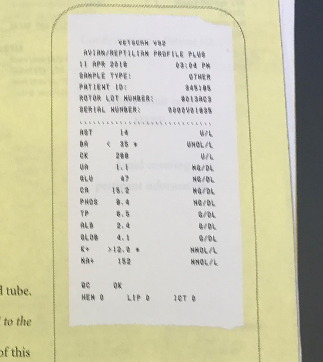 My snake's blood test - What's Wrong?