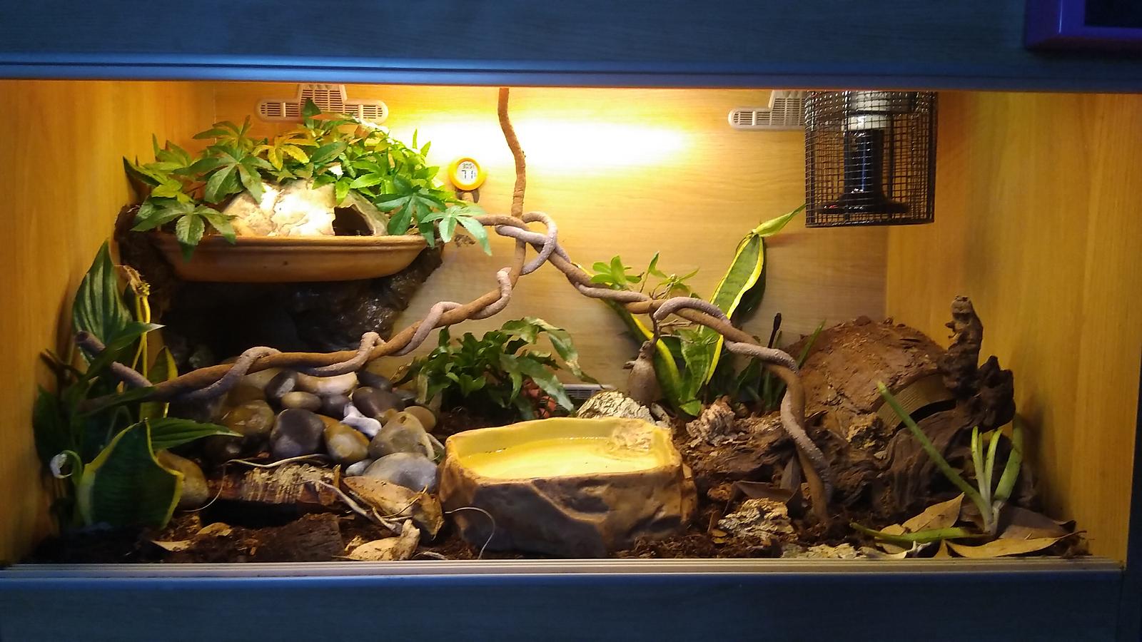 Wobs bioactive Viv 07.05.18