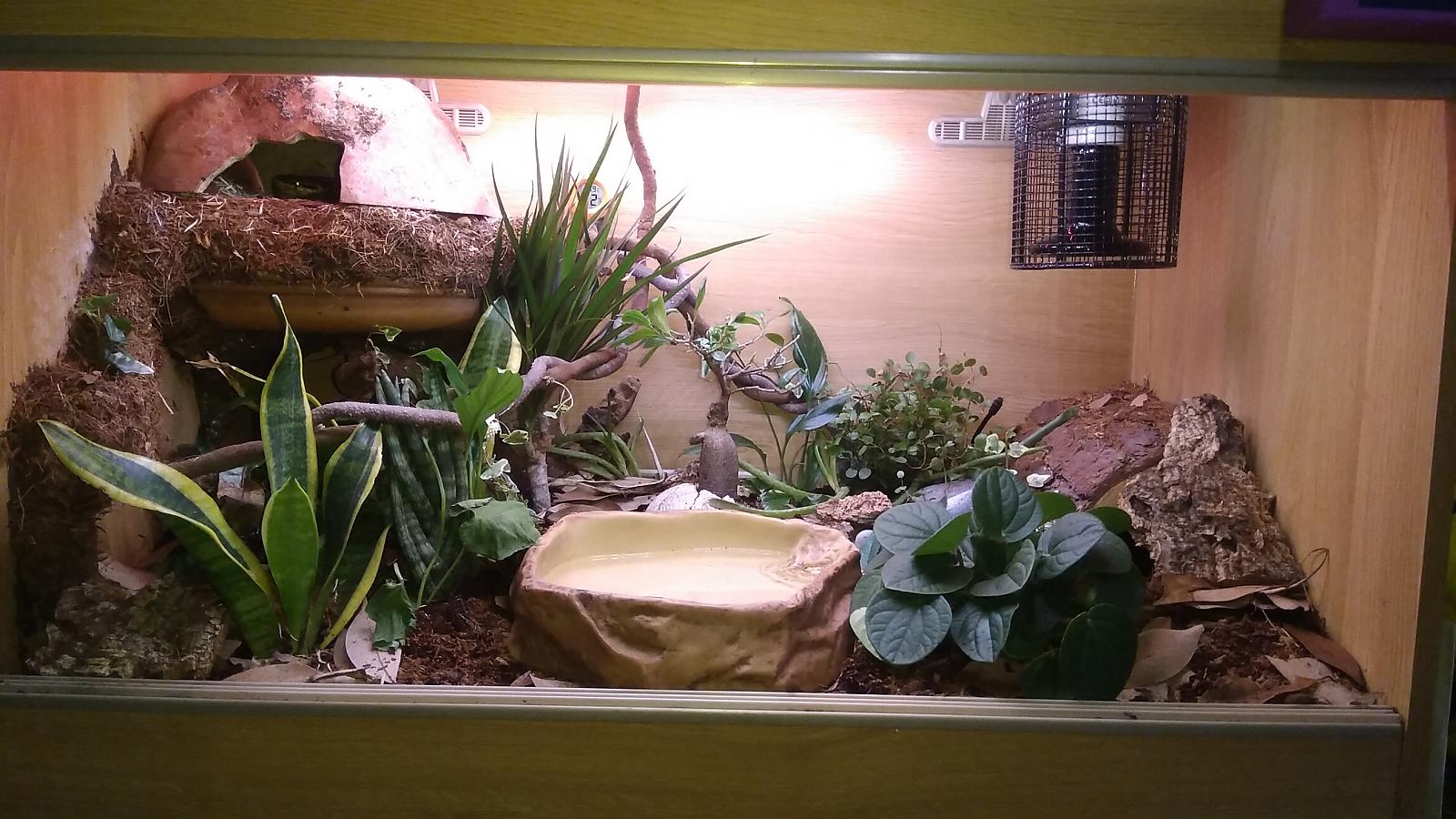Wobs bioactive Viv 26.05.18