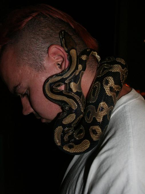 Scales On Me When I Had A Red Mohawk Lol!