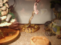 Feeding 12-18-07