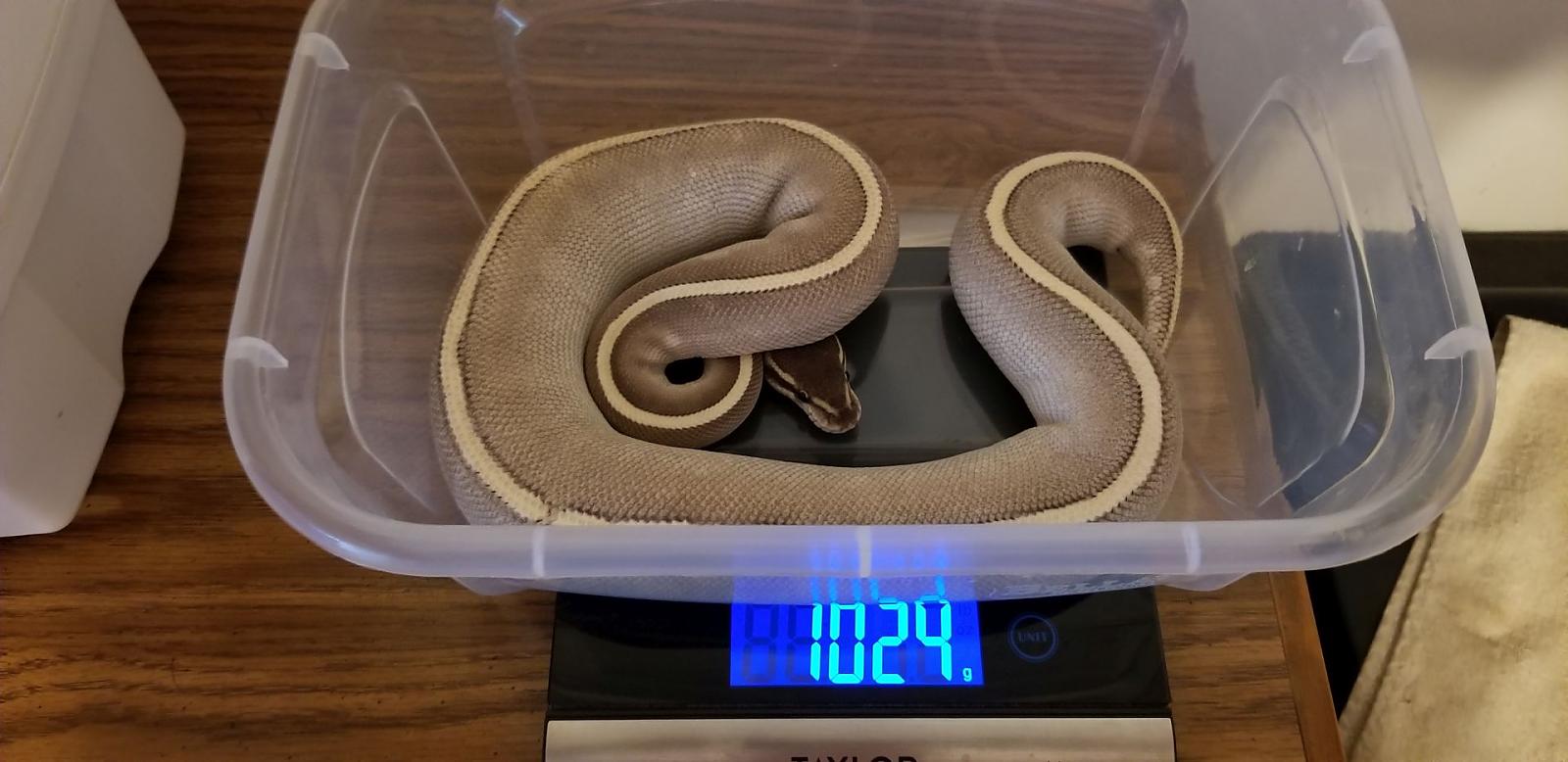 Smoke1kg