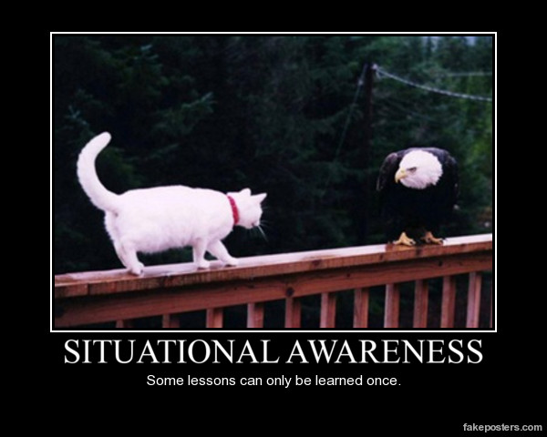 Lessons