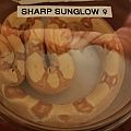 Sunglow 1