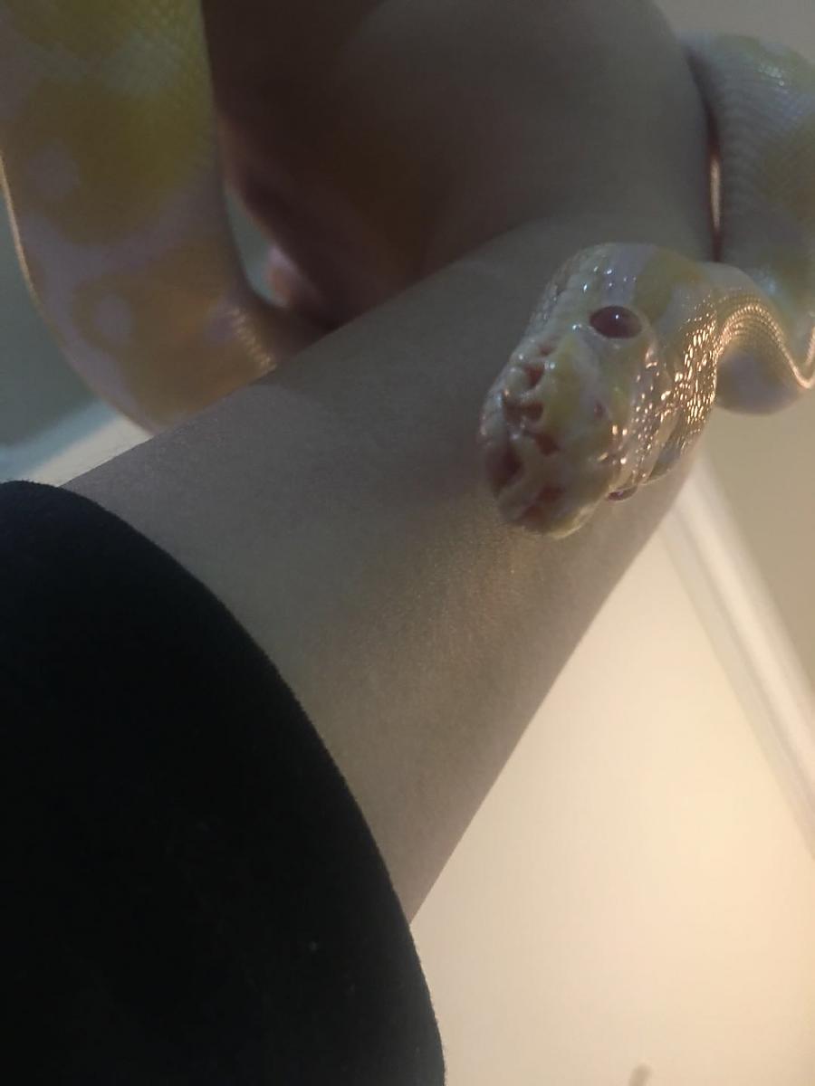 Help! Weird mouth!