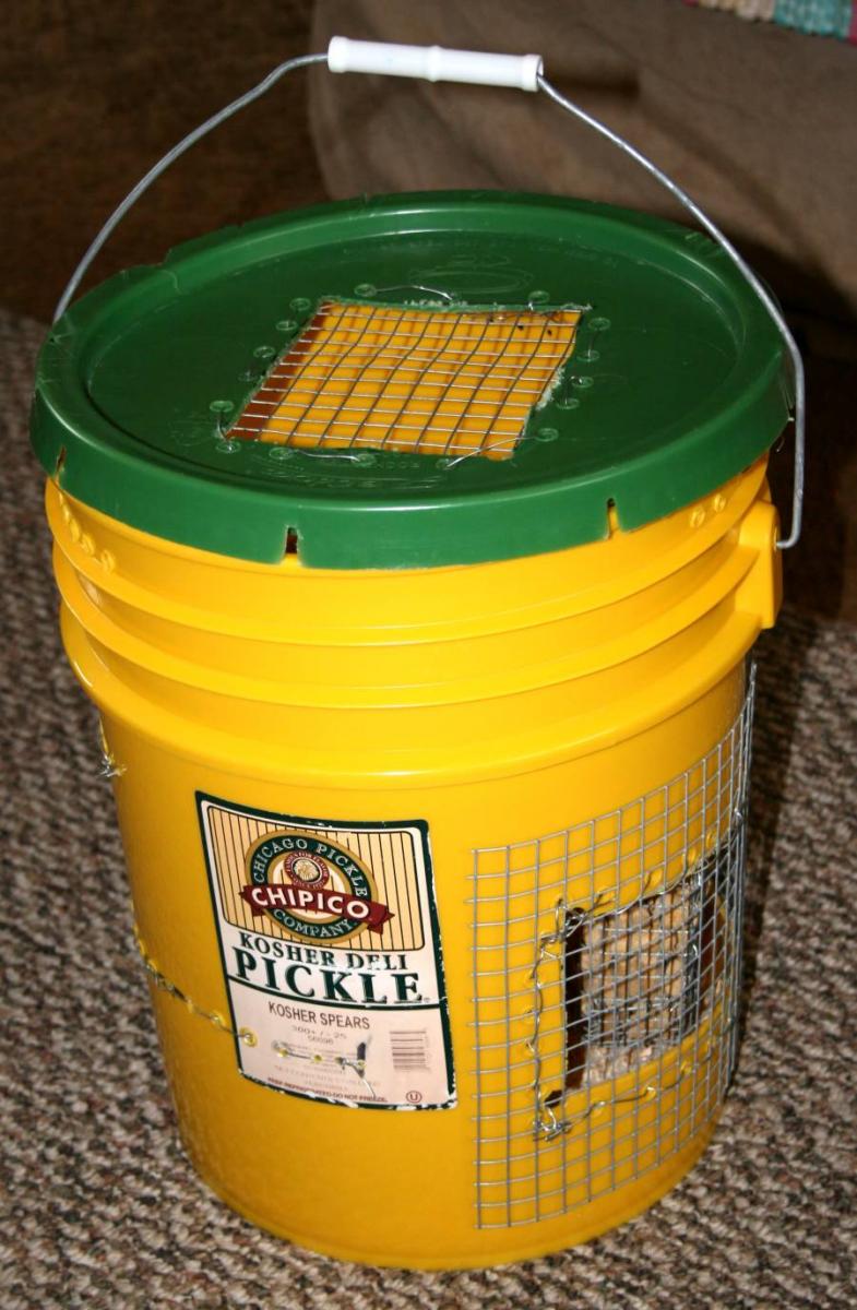 Mouse Bucket