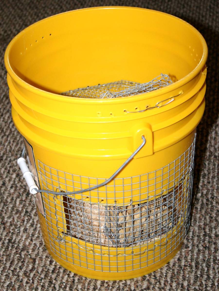 Mouse Bucket