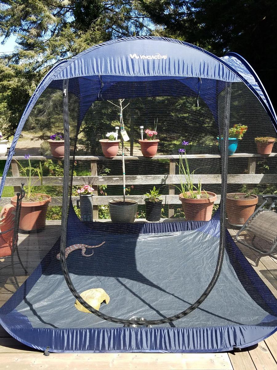 042819 Pop Up Screen Room