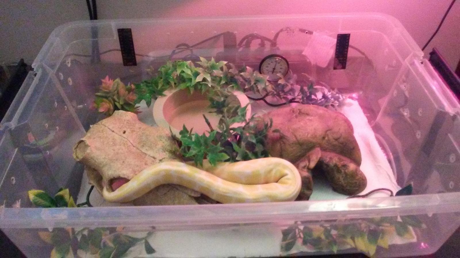 Natural tub setup
