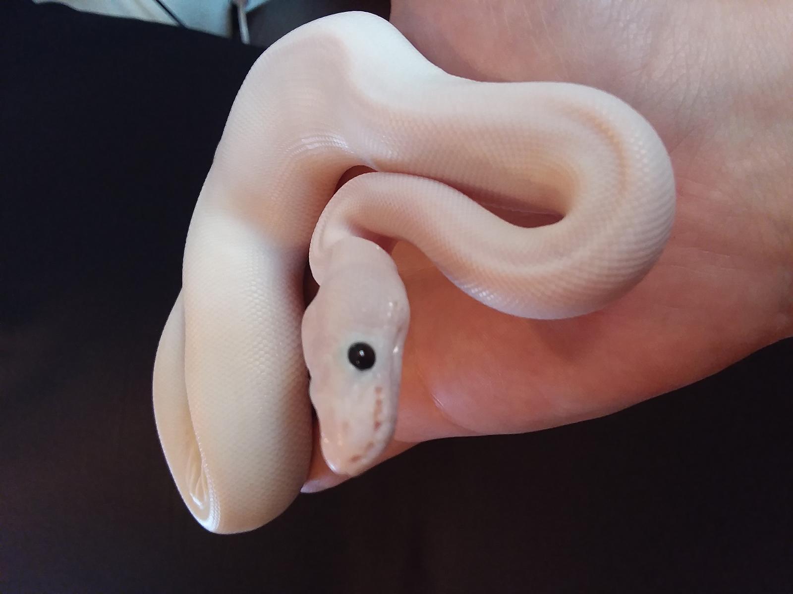 Lilith