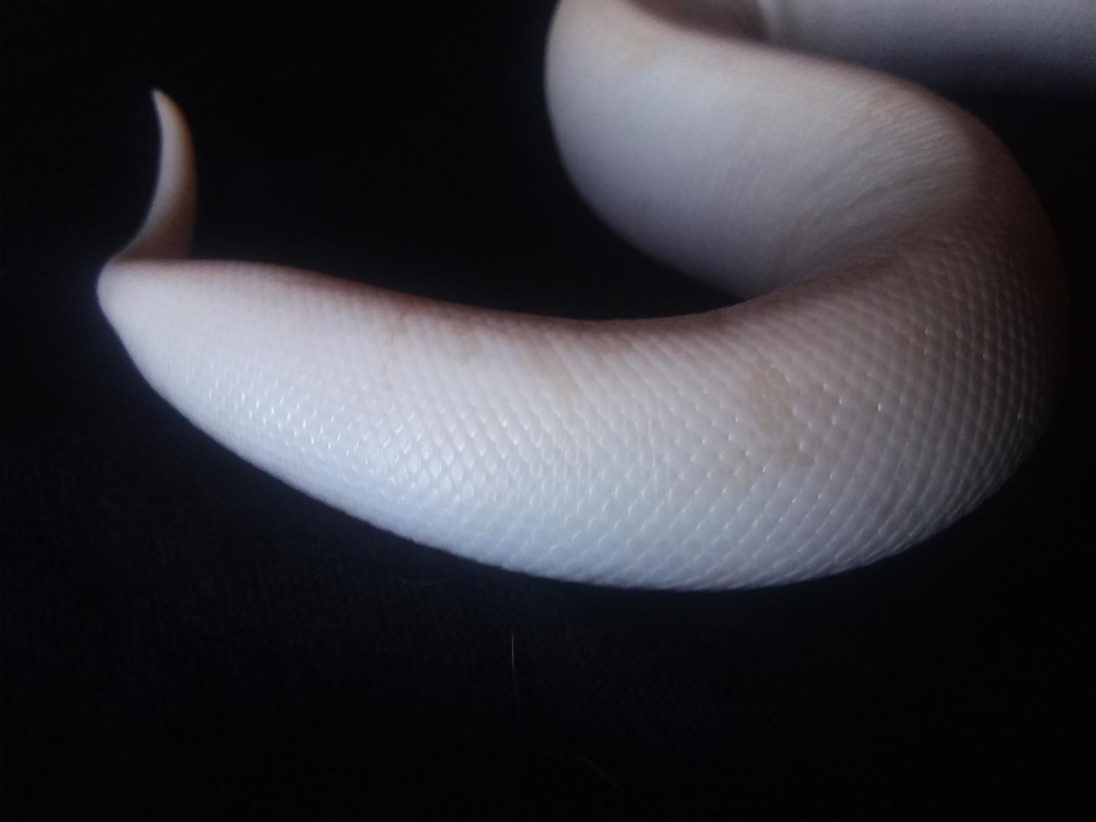 Lilith